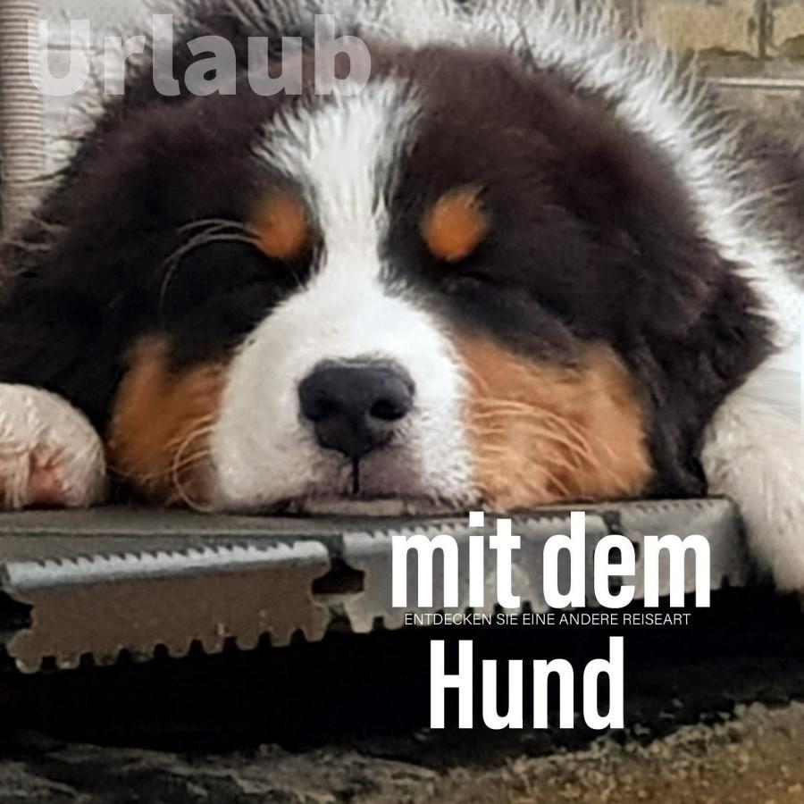 Der Seehof Heimbach Eksteriør billede